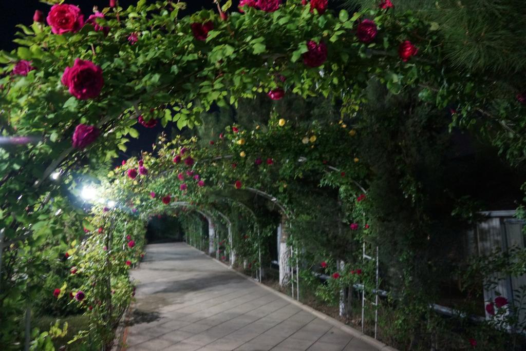 River Side Hotel Mingachevir Bagian luar foto